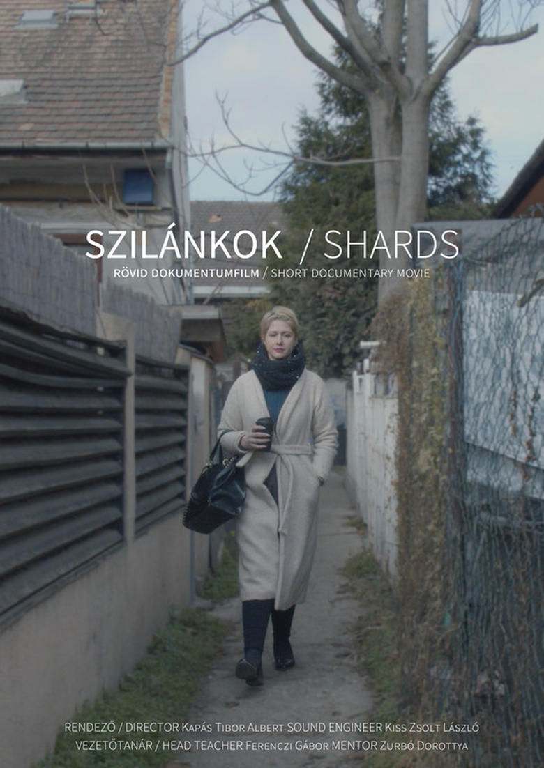 Poster of Szilánkok