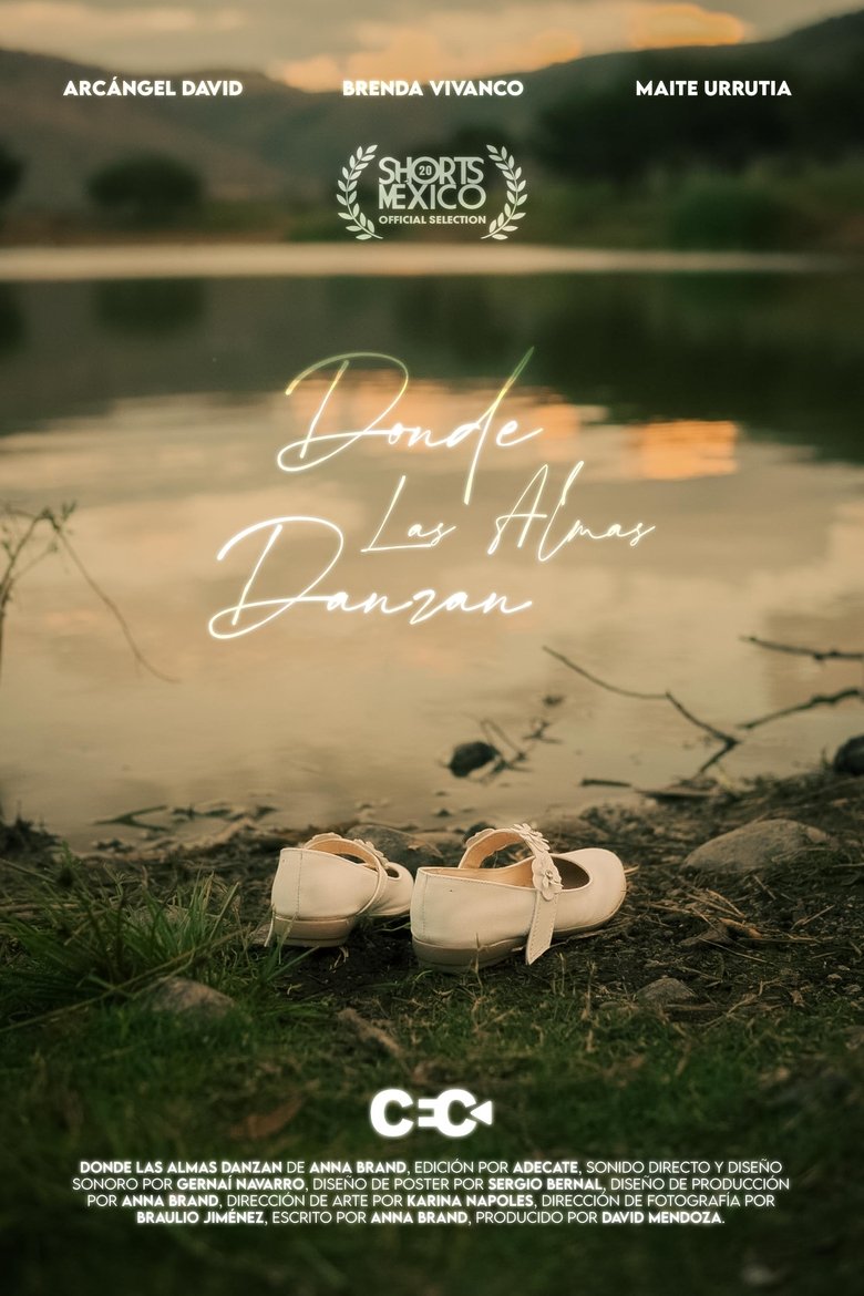 Poster of Donde Las Almas Danzan