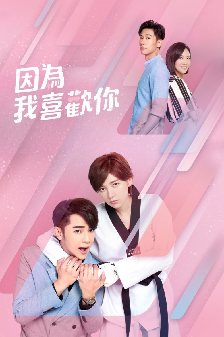Poster of Falling Into You
