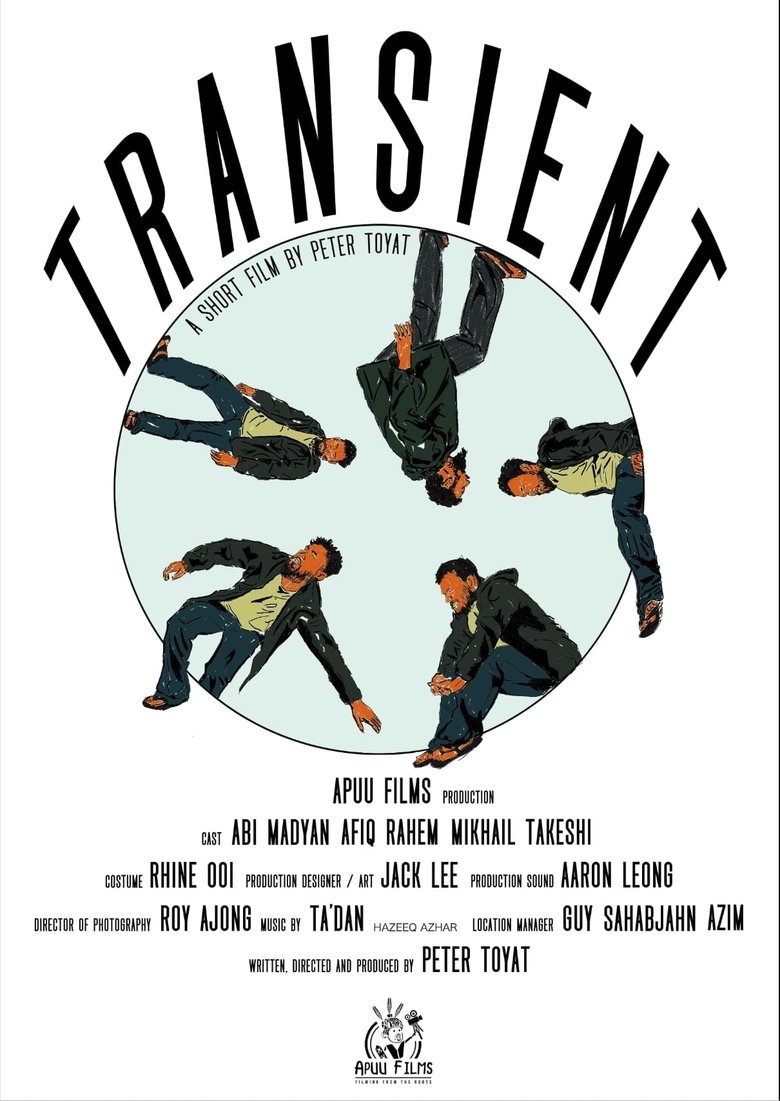 Poster of Transient