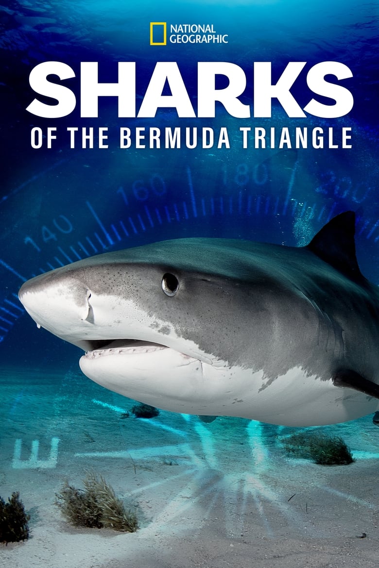 Poster of Sharks of the Bermuda Triangle