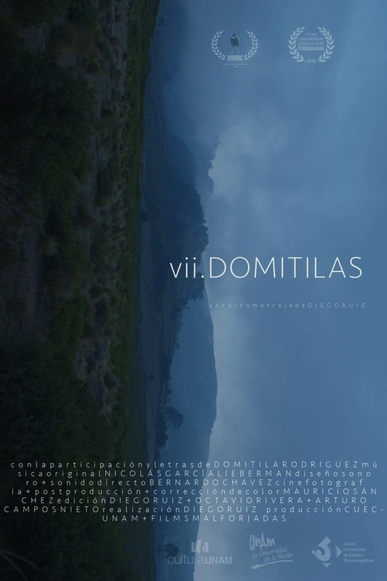 Poster of VII Domitilas