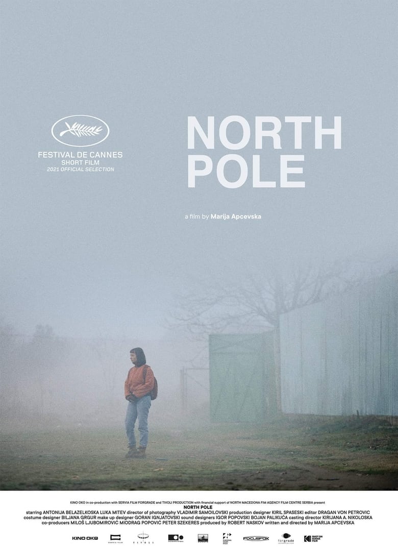 Poster of North Pole