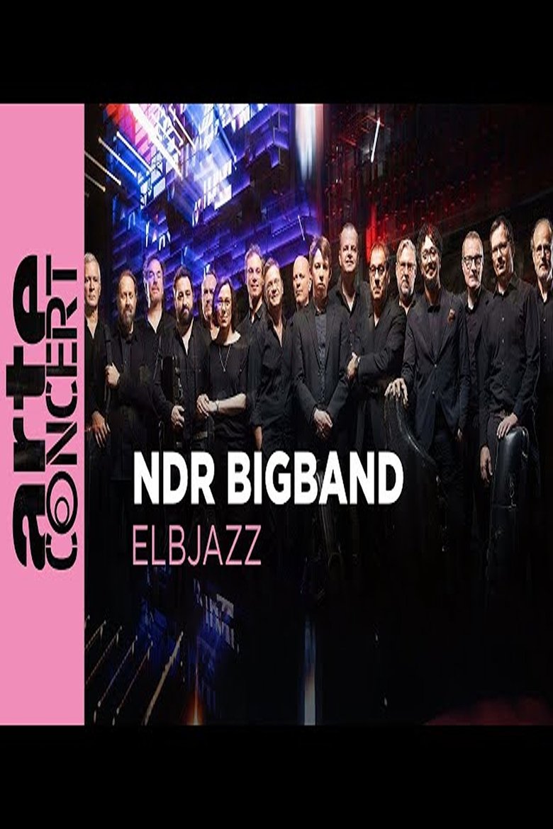 Poster of NDR Bigband feat. Lenine & Martin Fondse: The Bridge Elbjazz Festival 2024