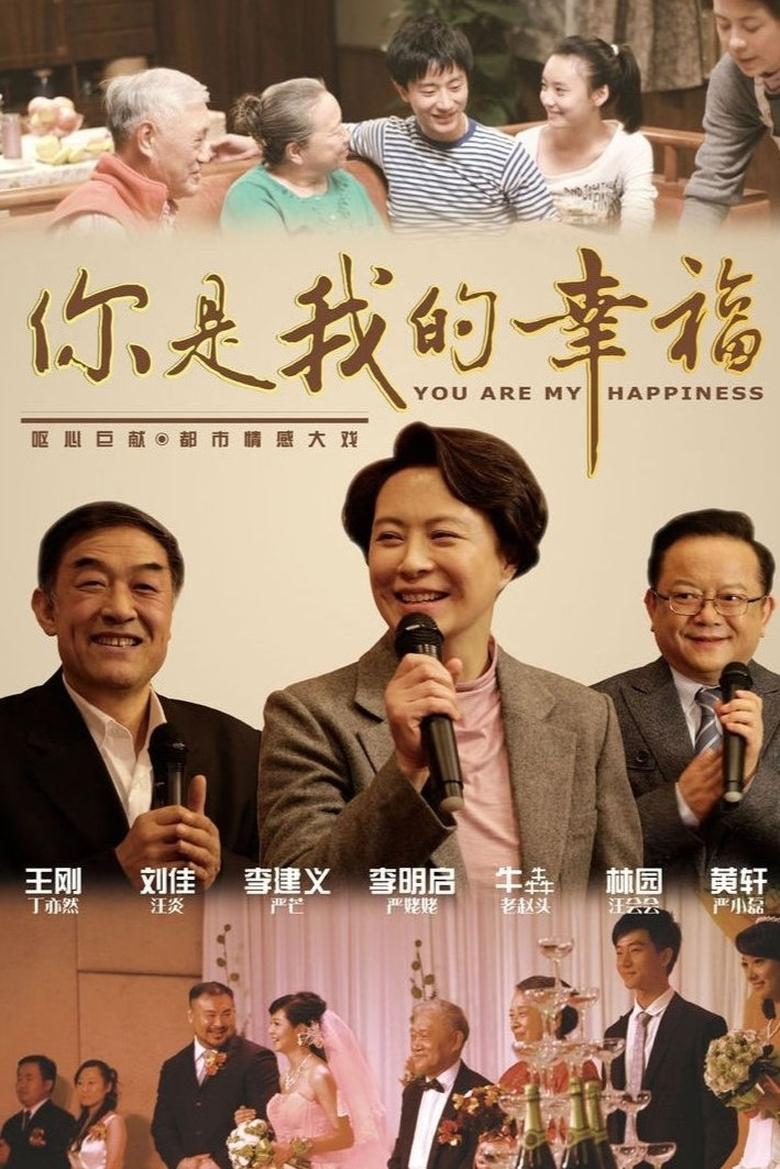 Poster of Episodes in 你是我的幸福 - Season 1 - Season 1