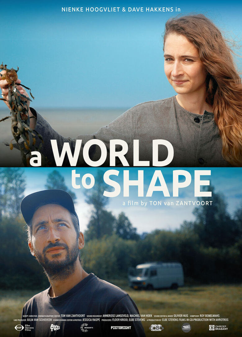 Poster of A World to Shape