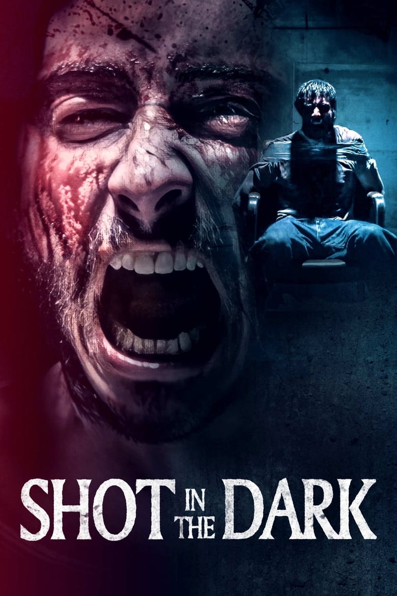 Poster of Shot in the Dark