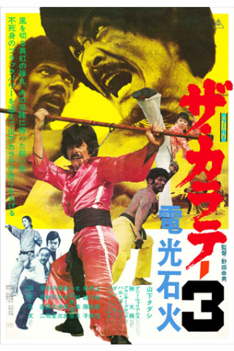 Poster of The Karate 3