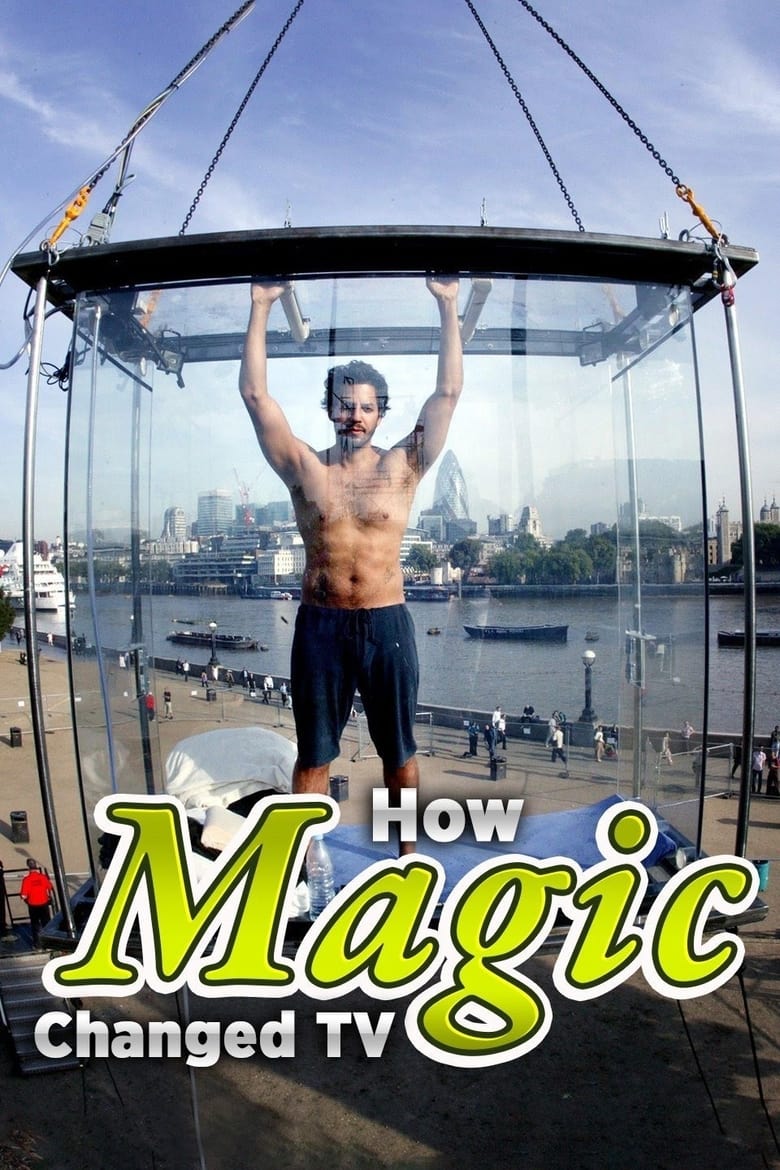 Poster of How Magic Changed TV