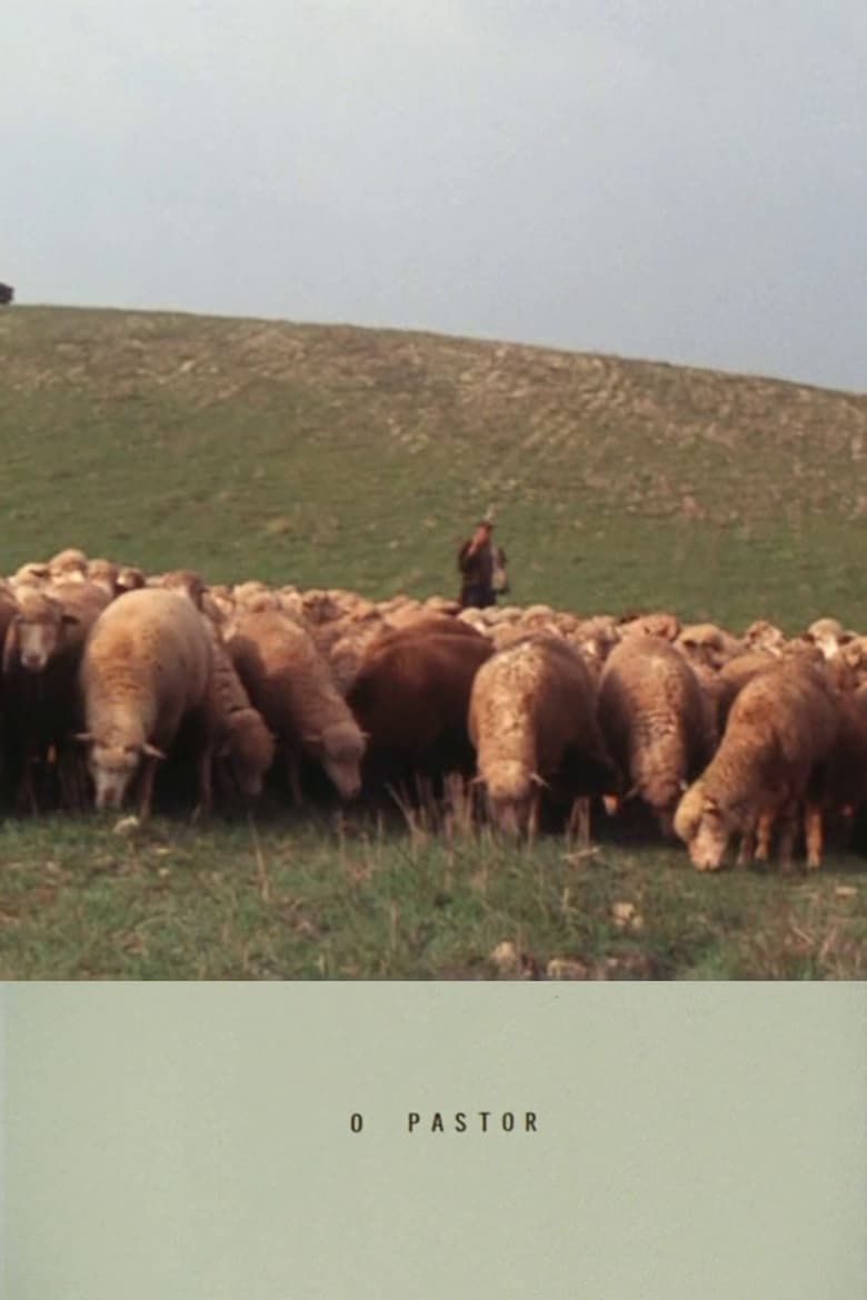 Poster of The Shepherd