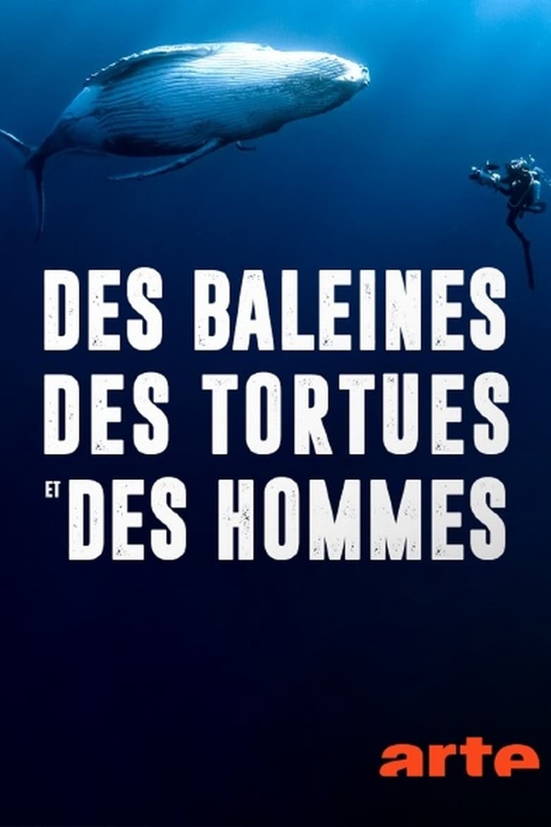 Poster of Des baleines, des tortues et des hommes