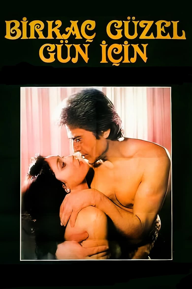 Poster of Birkaç Güzel Gün İçin