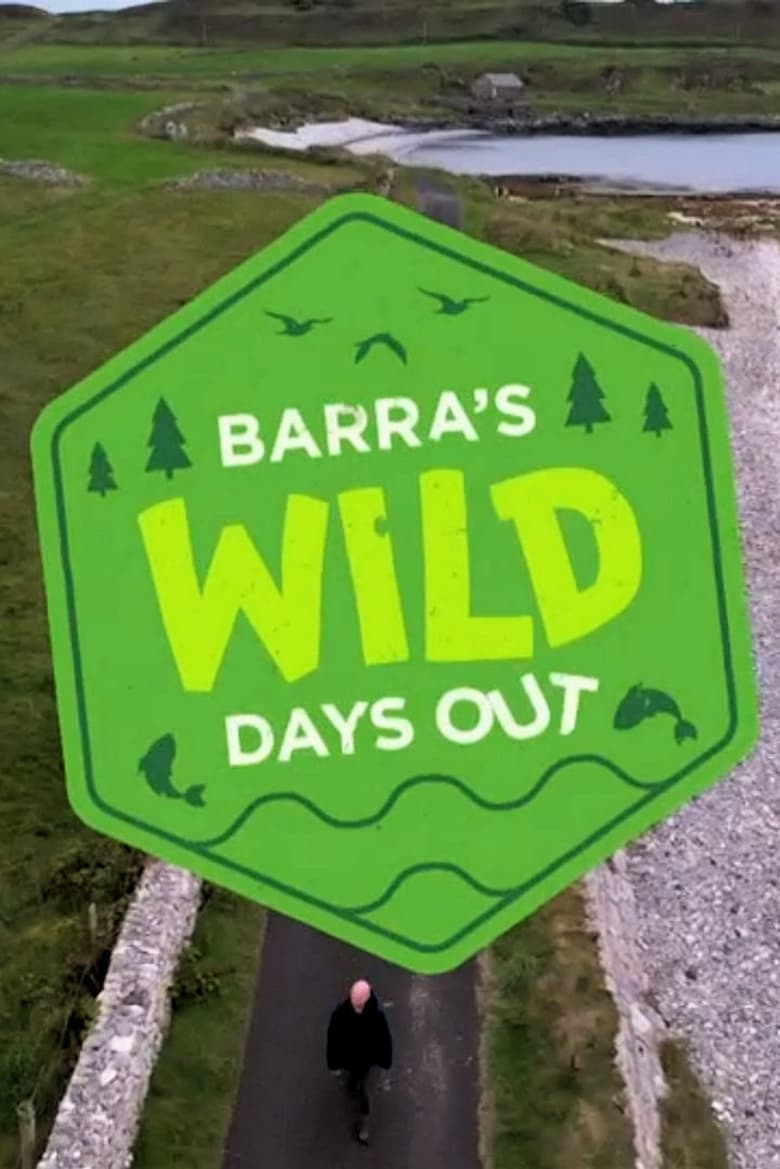 Poster of Barra's Wild Days Out