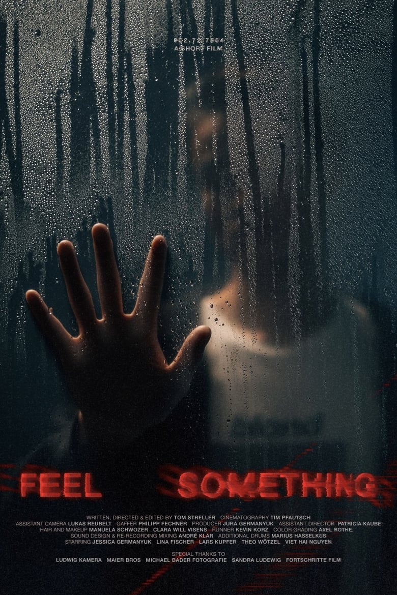 Poster of Feel Something