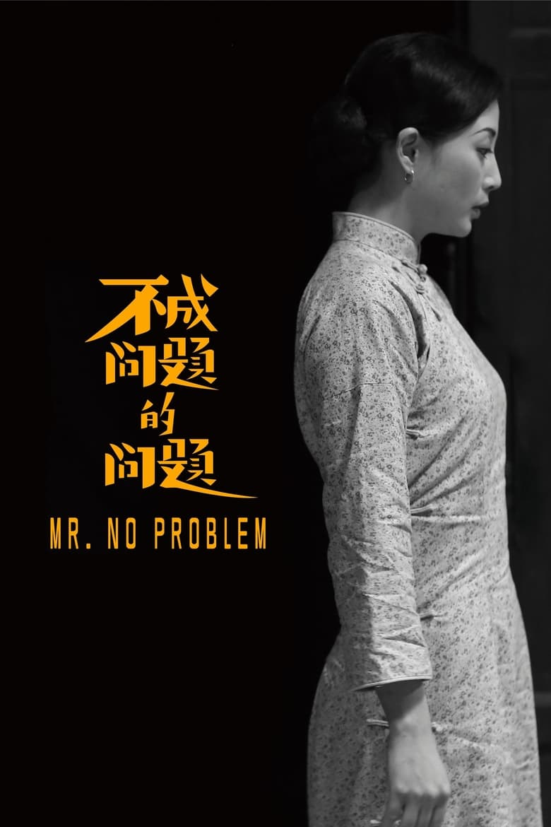 Poster of Mr. No Problem