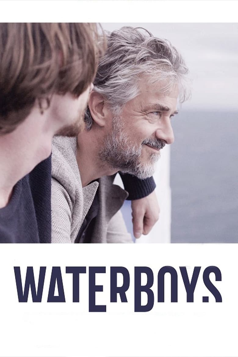 Poster of Waterboys