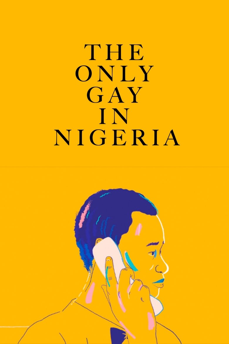 Poster of The Only Gay in Nigeria