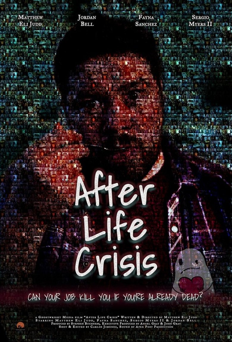Poster of After Life Crisis