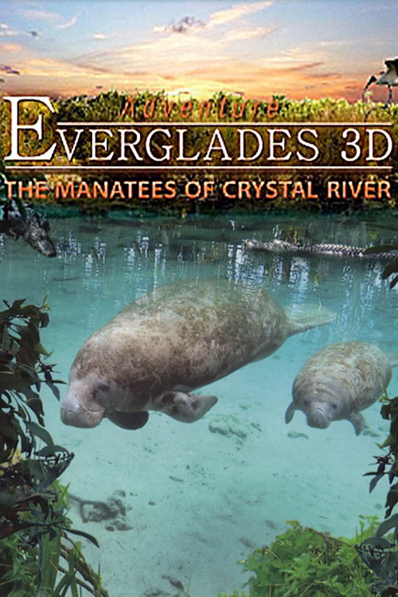 Poster of Adventure Everglades 3D - The Manatees of Crystal River