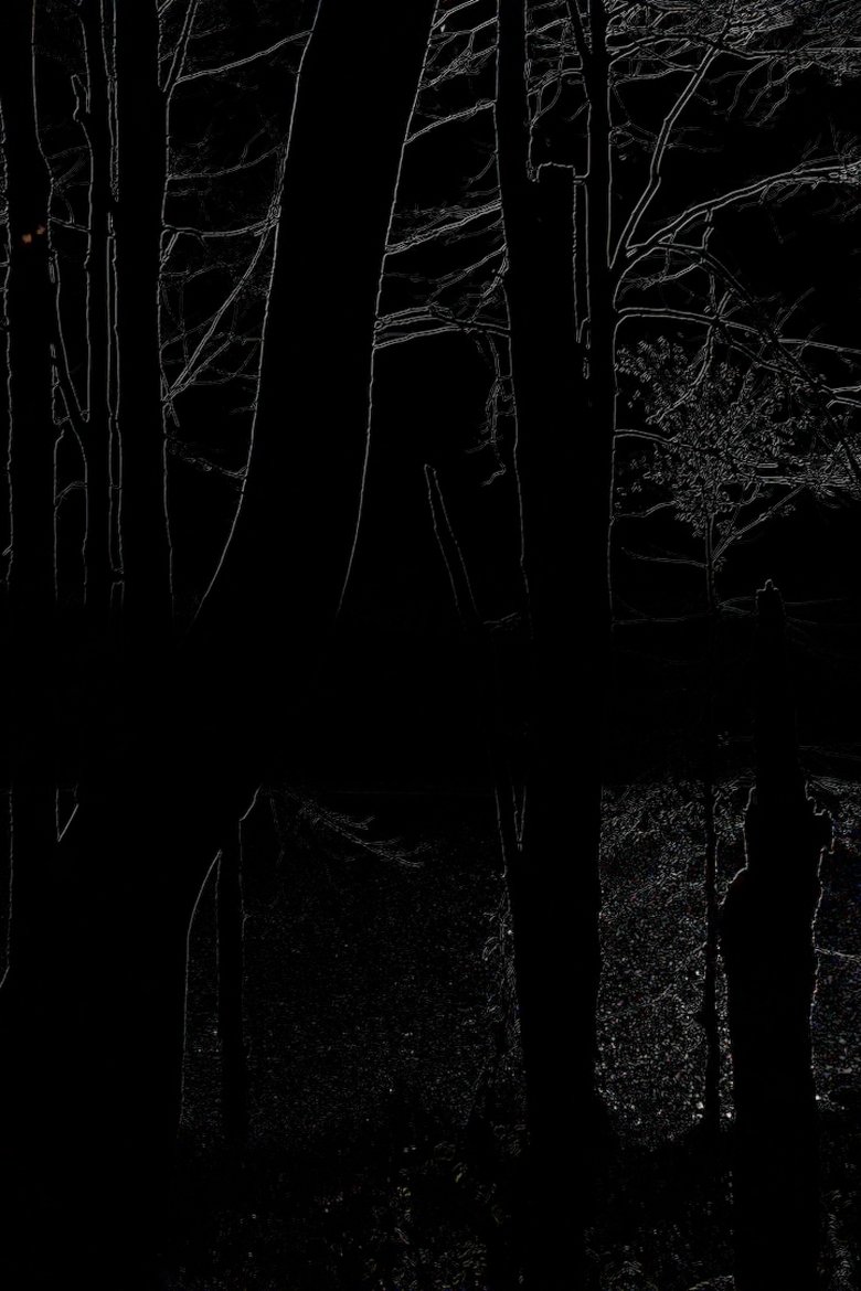 Poster of The Heart of the Wood