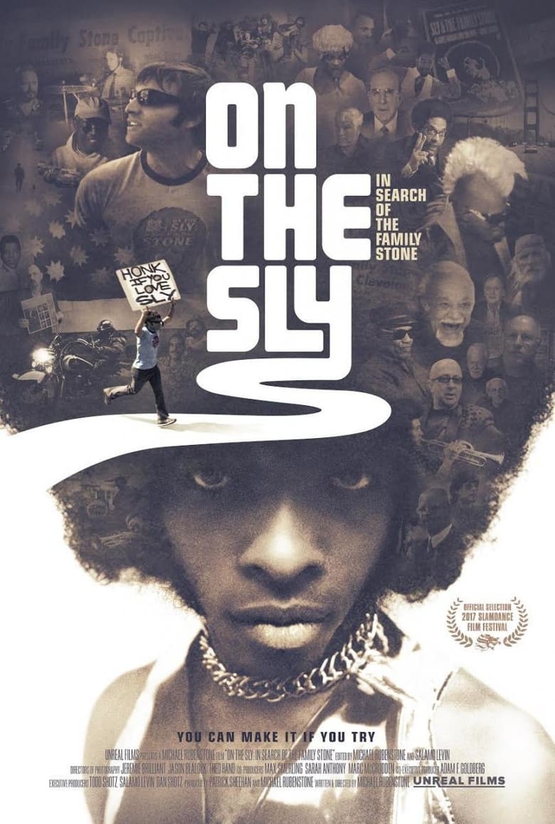 Poster of On the Sly: In Search of the Family Stone