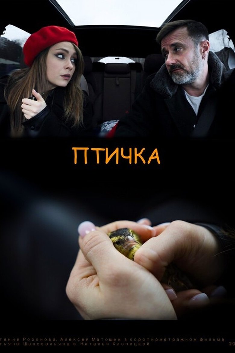 Poster of The Birdie