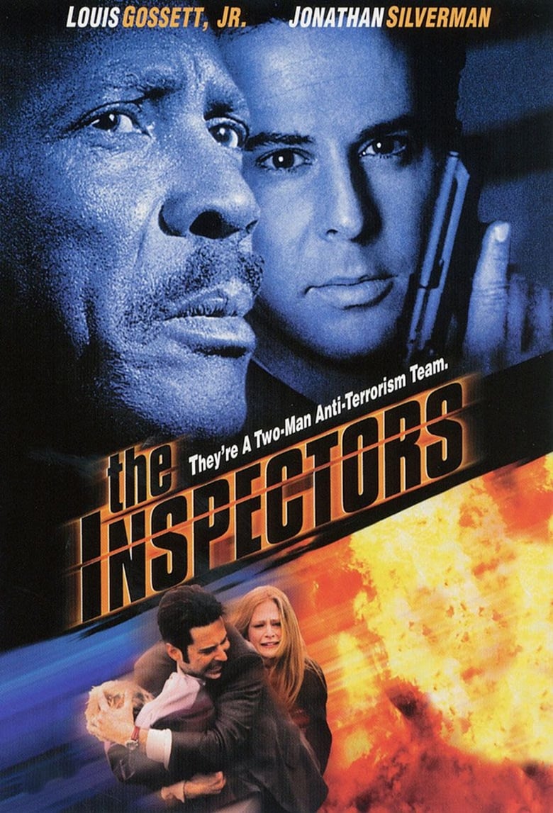 Poster of The Inspectors