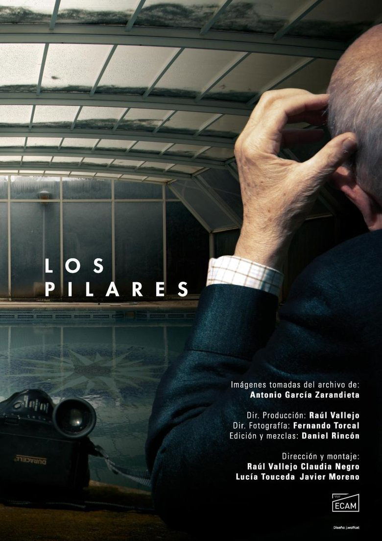 Poster of Los Pilares