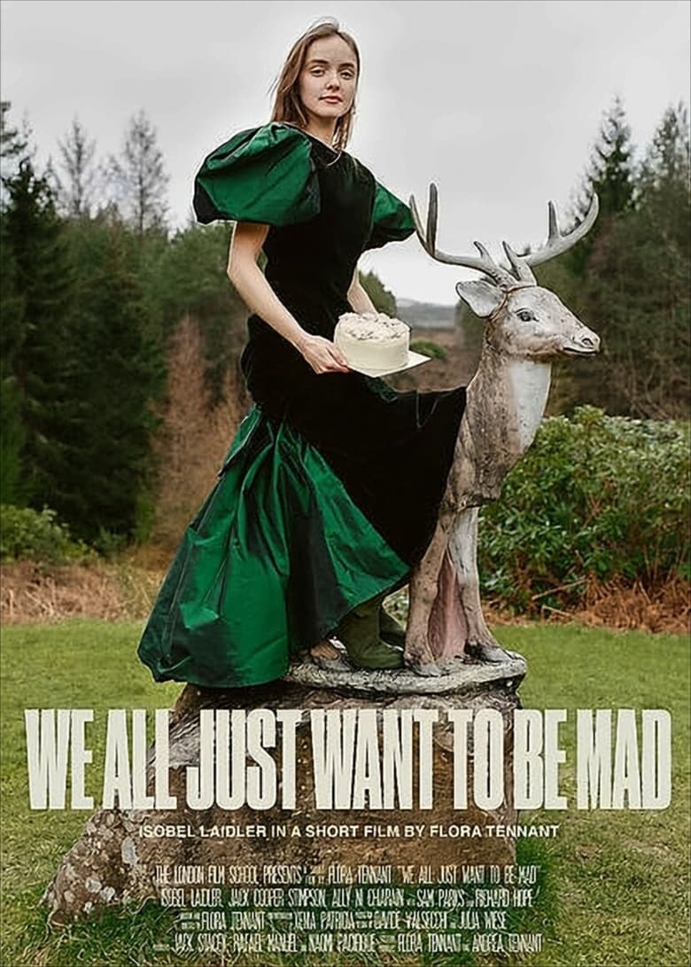 Poster of We All Just Want to Be Mad