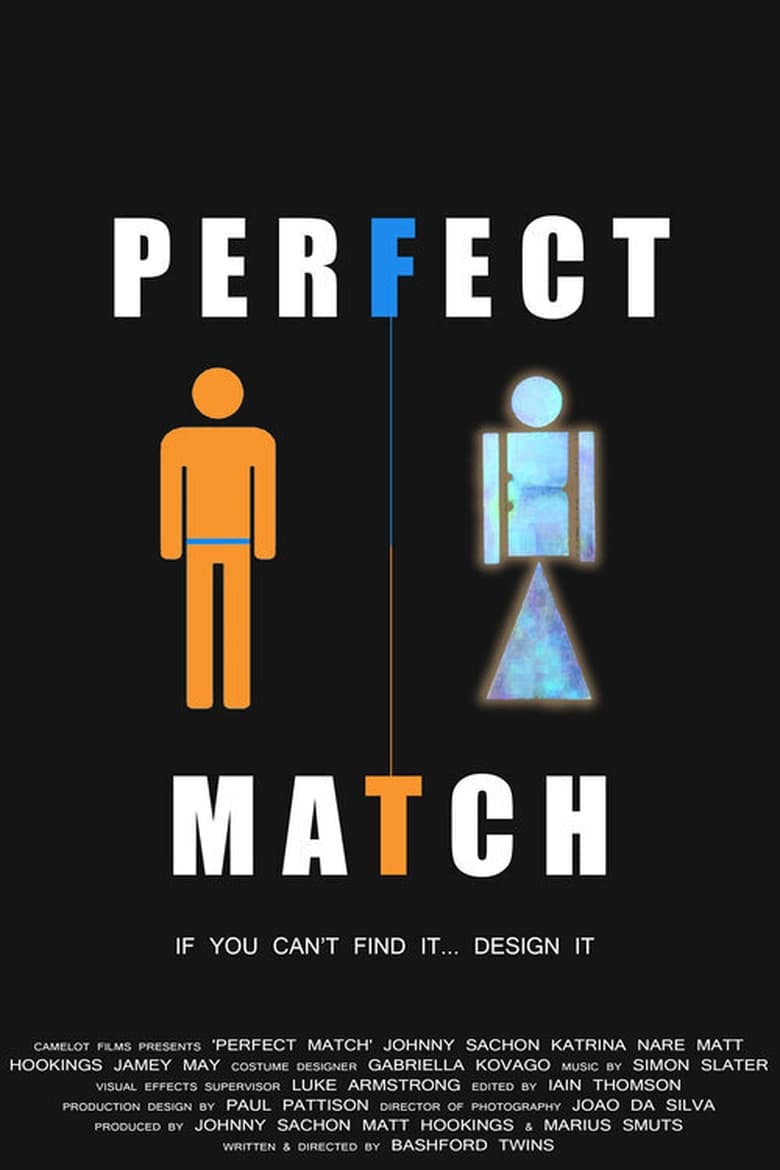 Poster of Perfect Match