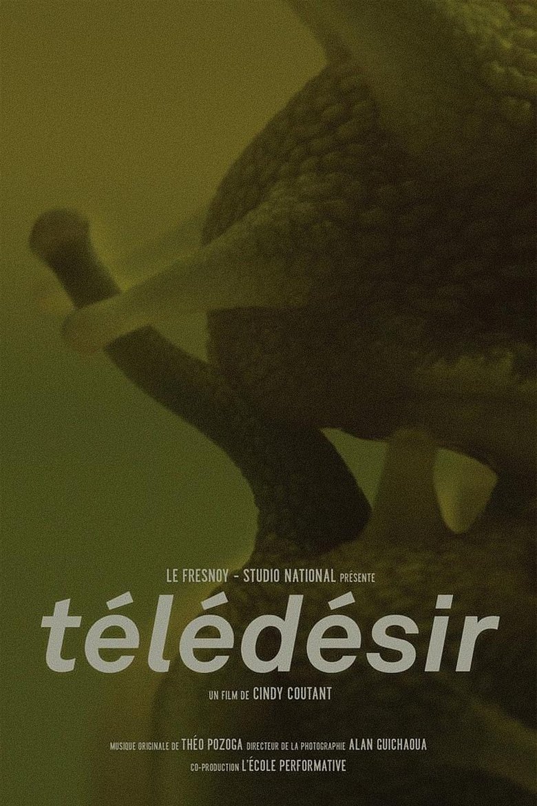 Poster of Télédésir