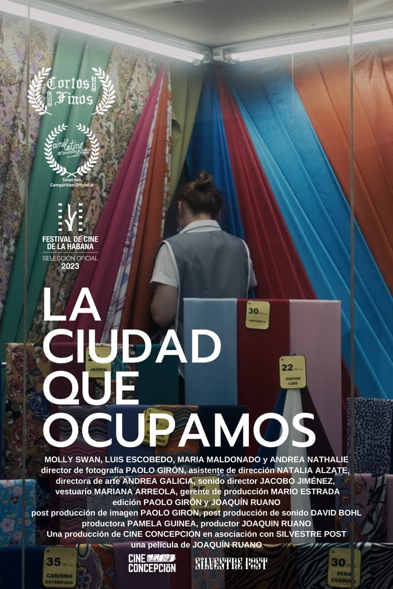 Poster of La ciudad que ocupamos