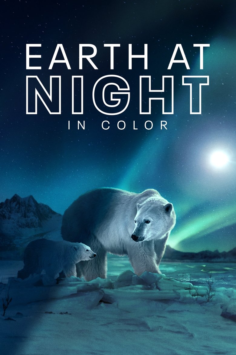 Poster of Earth at Night in Colour