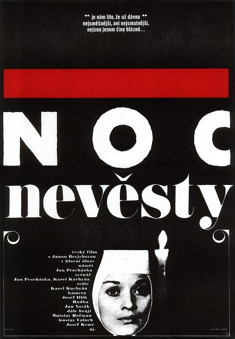 Poster of The Nun's Night