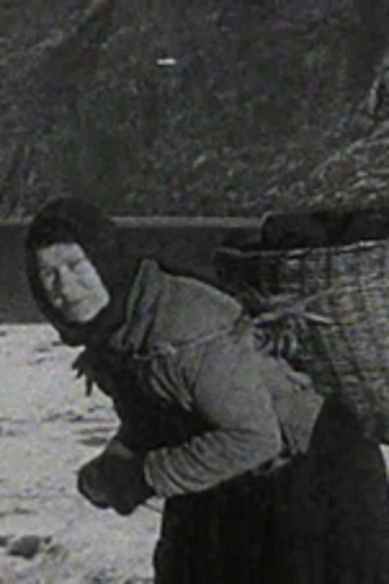 Poster of A Crofter's Life in the Shetlands