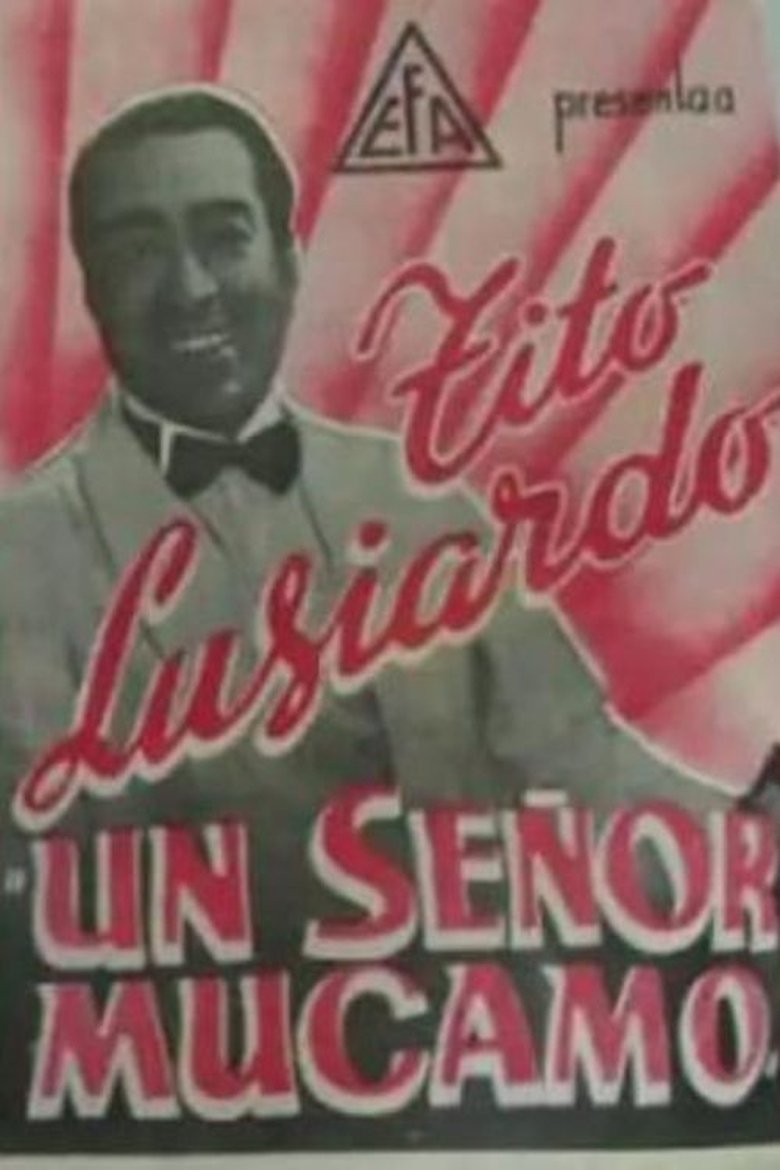 Poster of Un señor mucamo