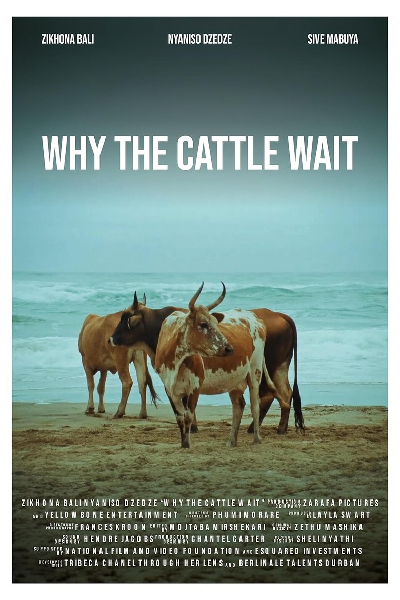 Poster of Why The Cattle Wait
