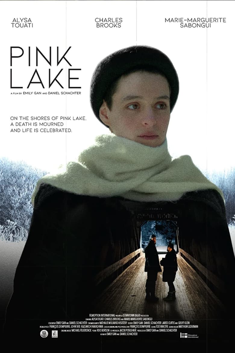 Poster of Pink Lake