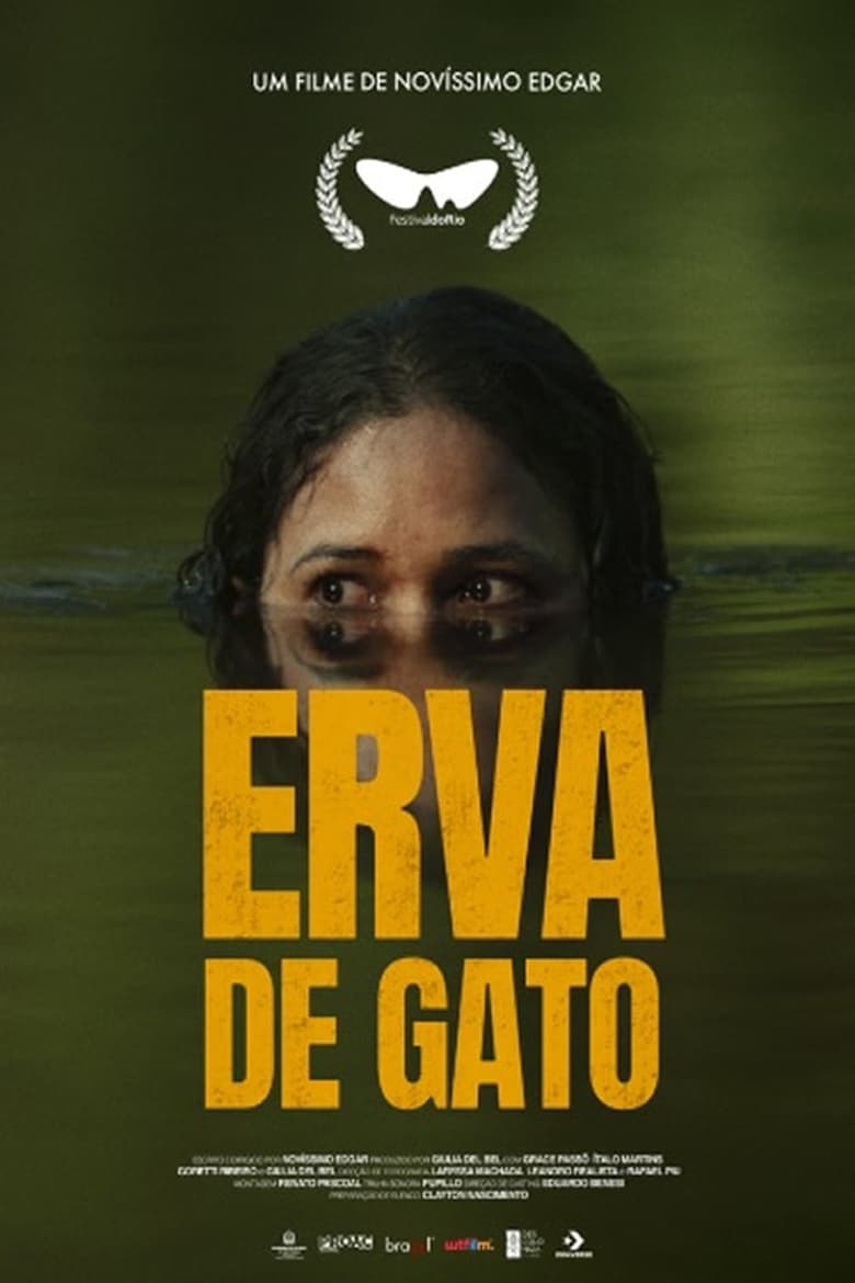 Poster of Erva de Gato