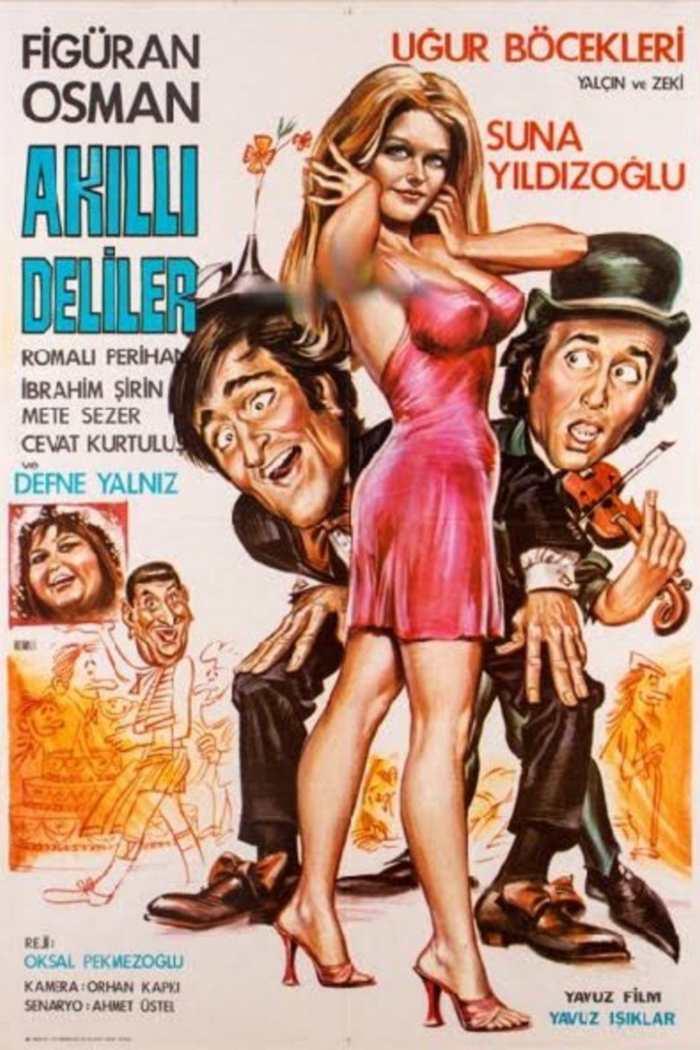 Poster of Akıllı Deliler