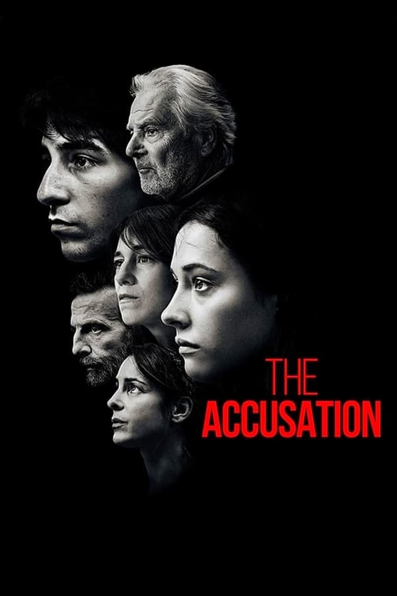 Poster of The Accusation