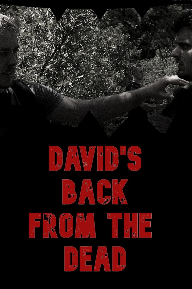 Poster of David's Back from the Dead