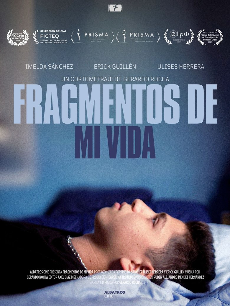 Poster of Fragmentos de mi Vida