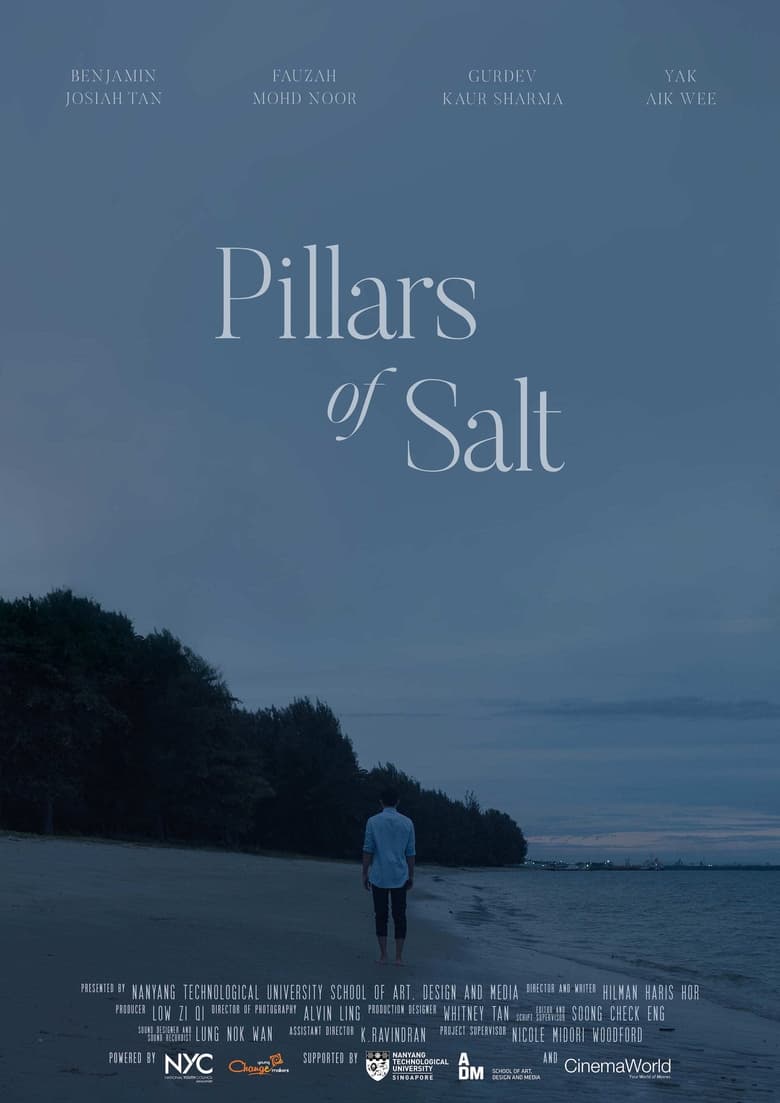 Poster of Pillars of Salt