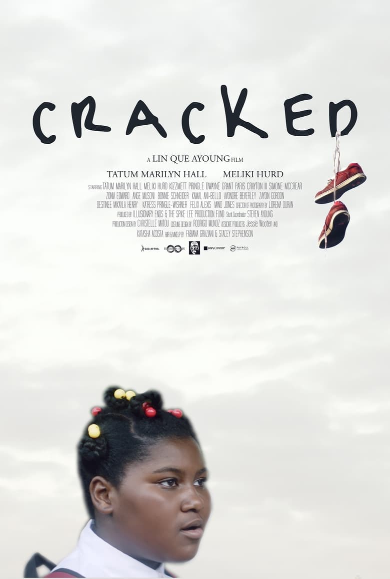 Poster of Cracked