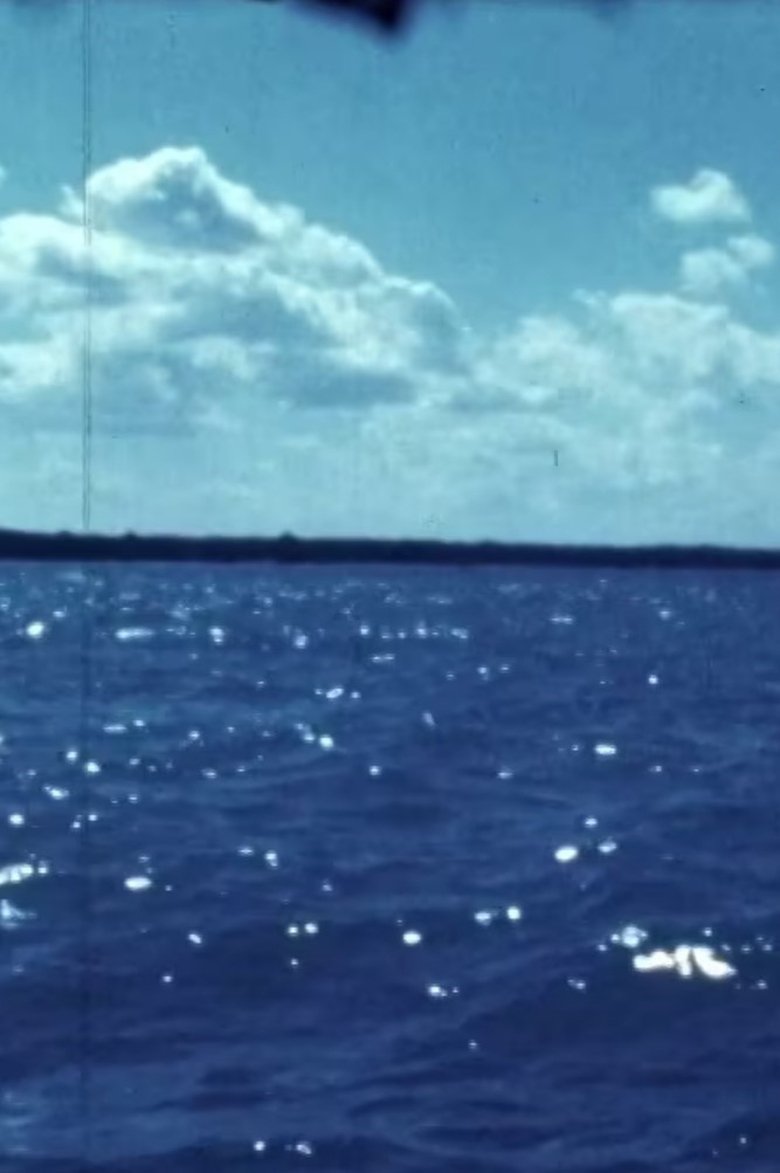 Poster of Woman Water Huron Goodbye