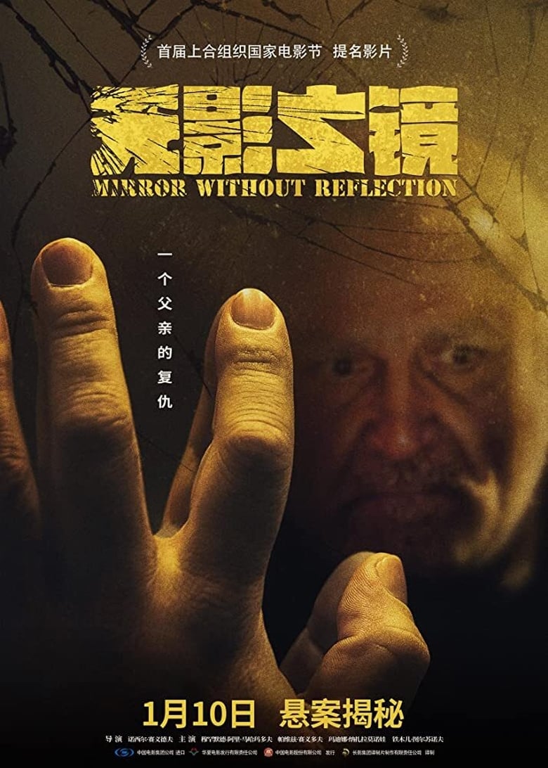 Poster of Mirror Without Reflection