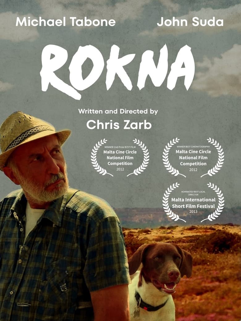 Poster of Rokna