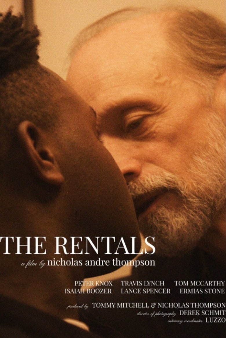 Poster of The Rentals