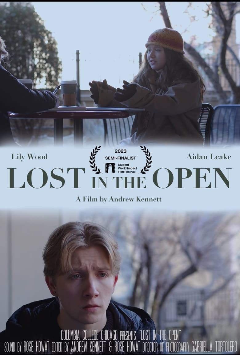 Poster of Lost in the Open